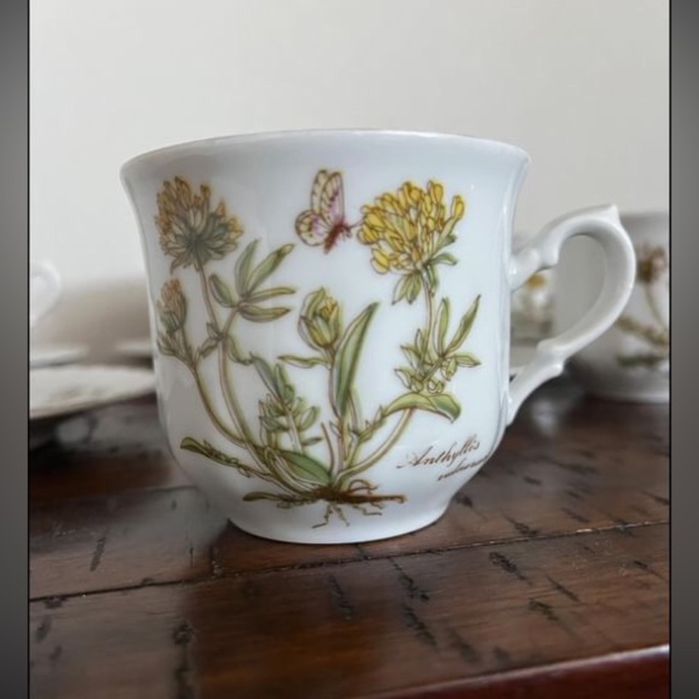 Vintage Kronester Bavaria 1970's Floral Tea Cups and Saucers Set